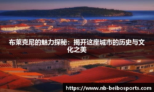 布莱克尼的魅力探秘：揭开这座城市的历史与文化之美