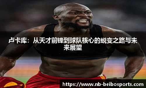 BB贝博体育