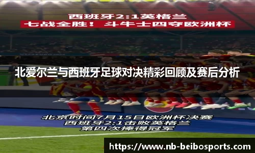北爱尔兰与西班牙足球对决精彩回顾及赛后分析