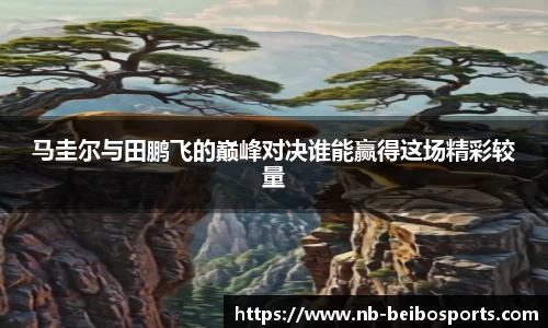 BB体育
